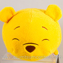 Winnie the Pooh (Sleeping)